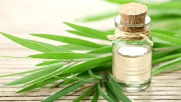 8 مورد از خواص روغن درخت چای برای پوست