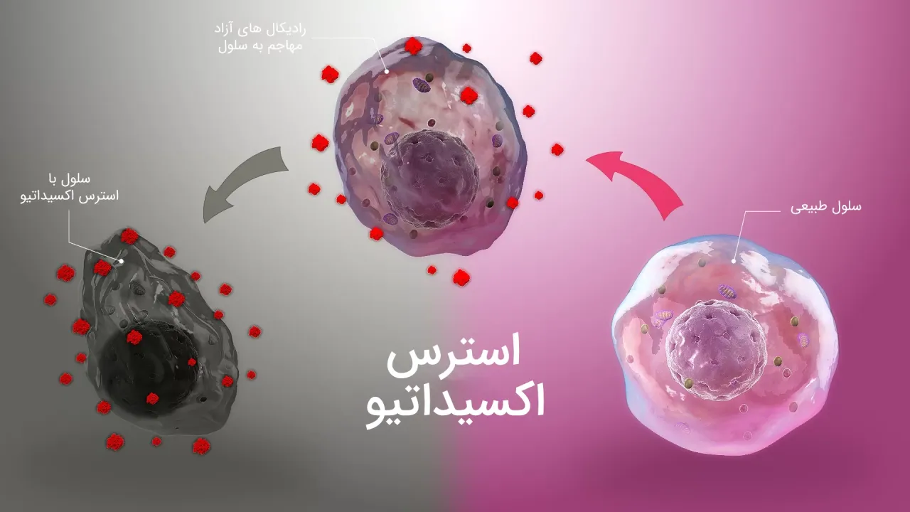 استرس اکسیداتیو چیست و چگونه از آن پیشگیری کنیم؟