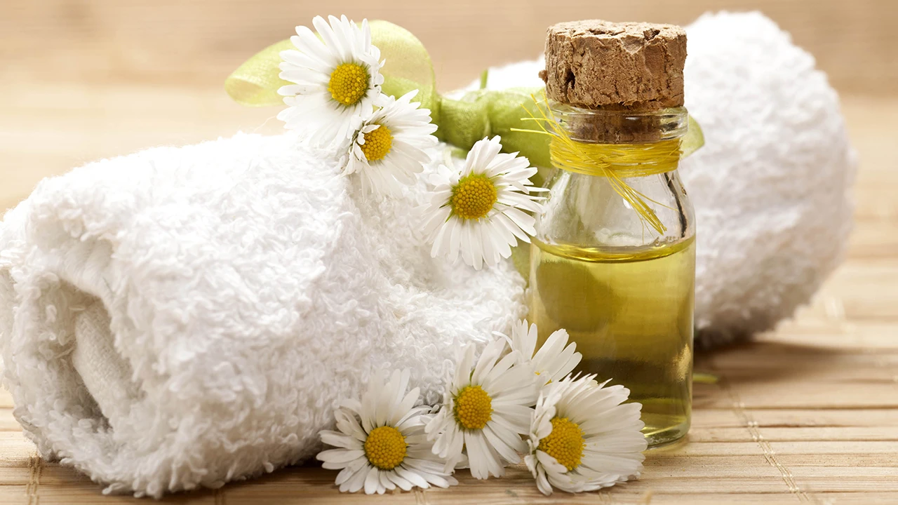 خواص روغن بابونه، کاربردها و عوارض جانبی