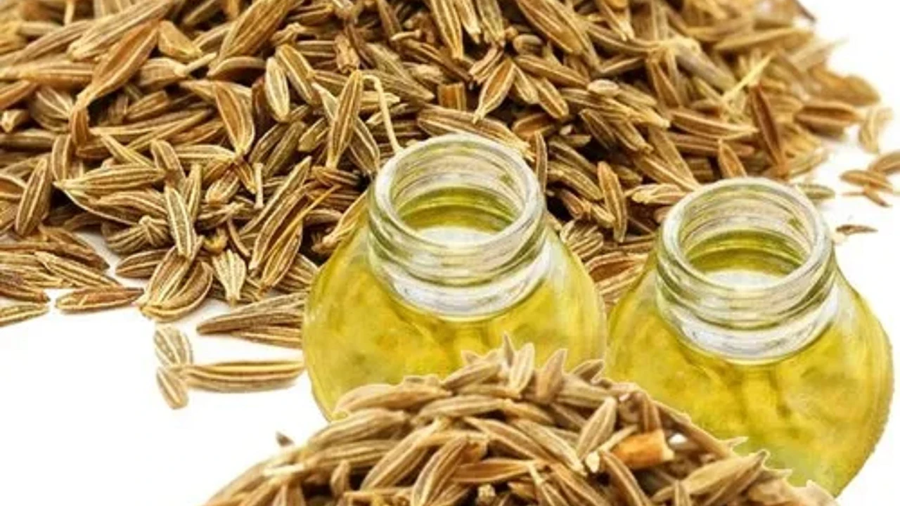 خواص روغن زیره سبز، کاربردها و عوارض جانبی