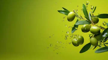 مقایسه جامع روغن زیتون و کنجد