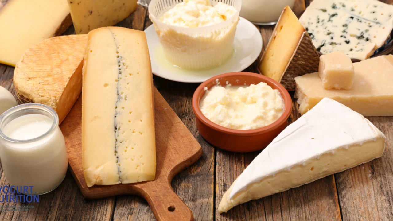 آیا چربی اشباع مضر است؟