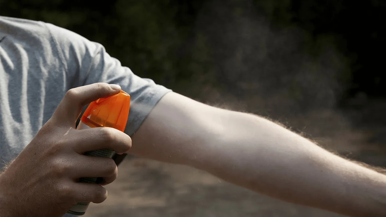 چگونه اسپری دافع حشرات خانگی بسازیم؟