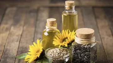 روغن آفتابگردان چه خواصی برای پوست دارد؟