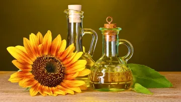 آیا روغن آفتابگردان سالم و مفید است؟
