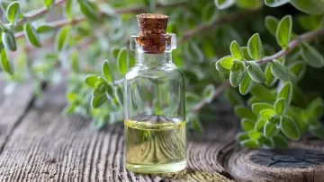 خواص روغن مرزنجوش