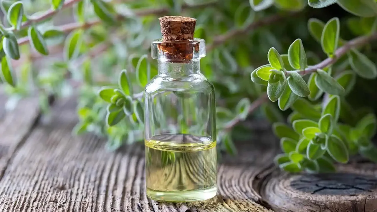 خواص روغن مرزنجوش