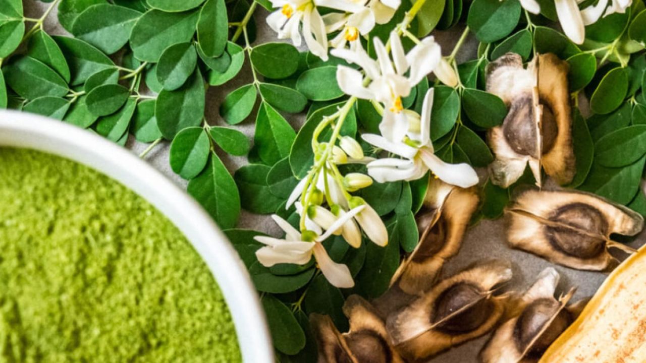 4 ماسک موی مورینگا اولیفرا برای سلامت و زیبایی مو