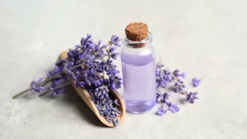 خواص روغن اسطوخودوس و کاربردهای آن