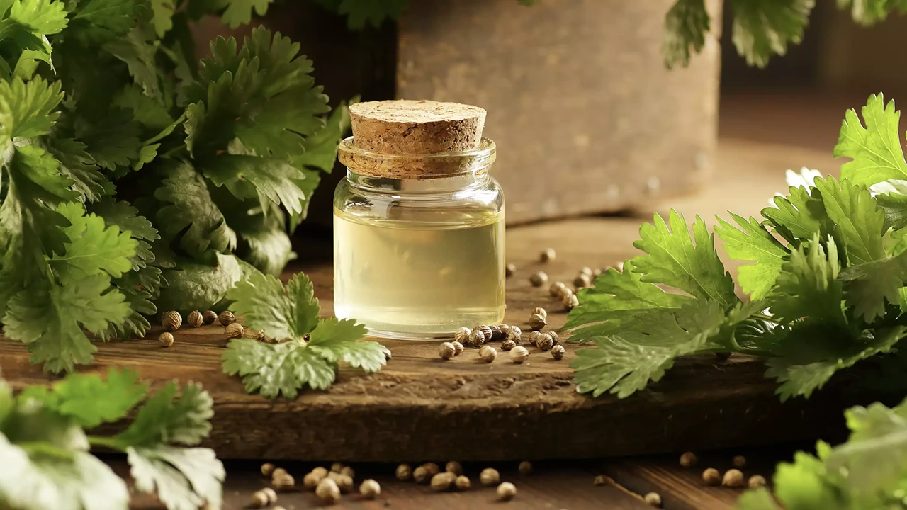 خواص روغن تخم گشنیز