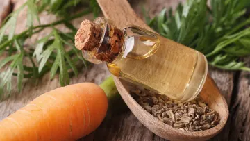 خواص روغن بذر هویج، کاربردها و عوارض جانبی آن