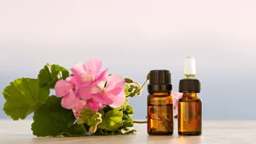 هر آنچه لازم است درباره روغن شمعدانی بدانید